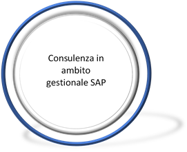 Consulenza in ambito gestionale SAP